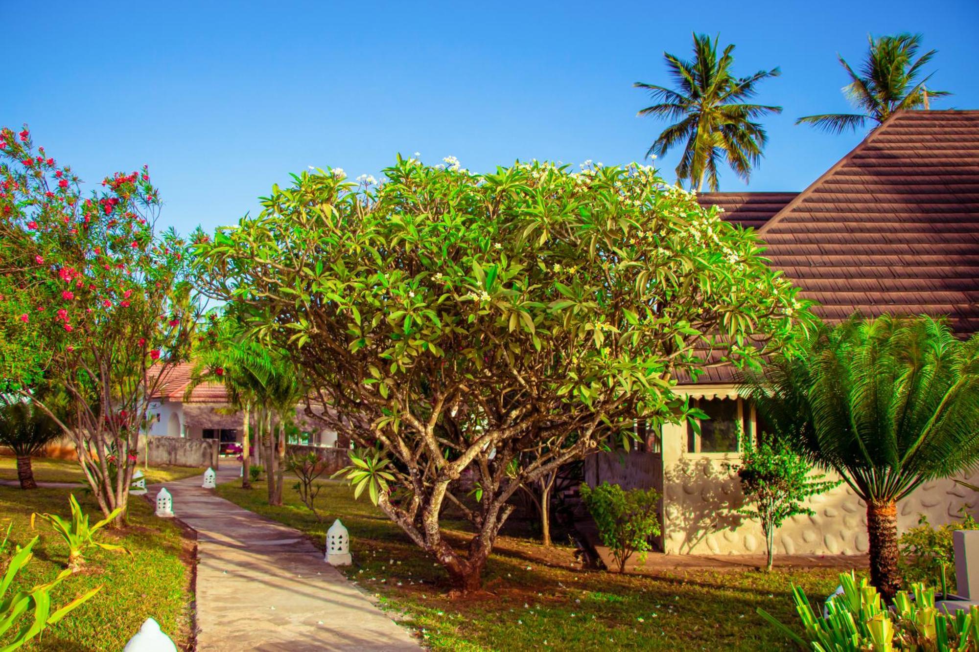 Mandarin Resort Zanzibar كيزيماكزي المظهر الخارجي الصورة