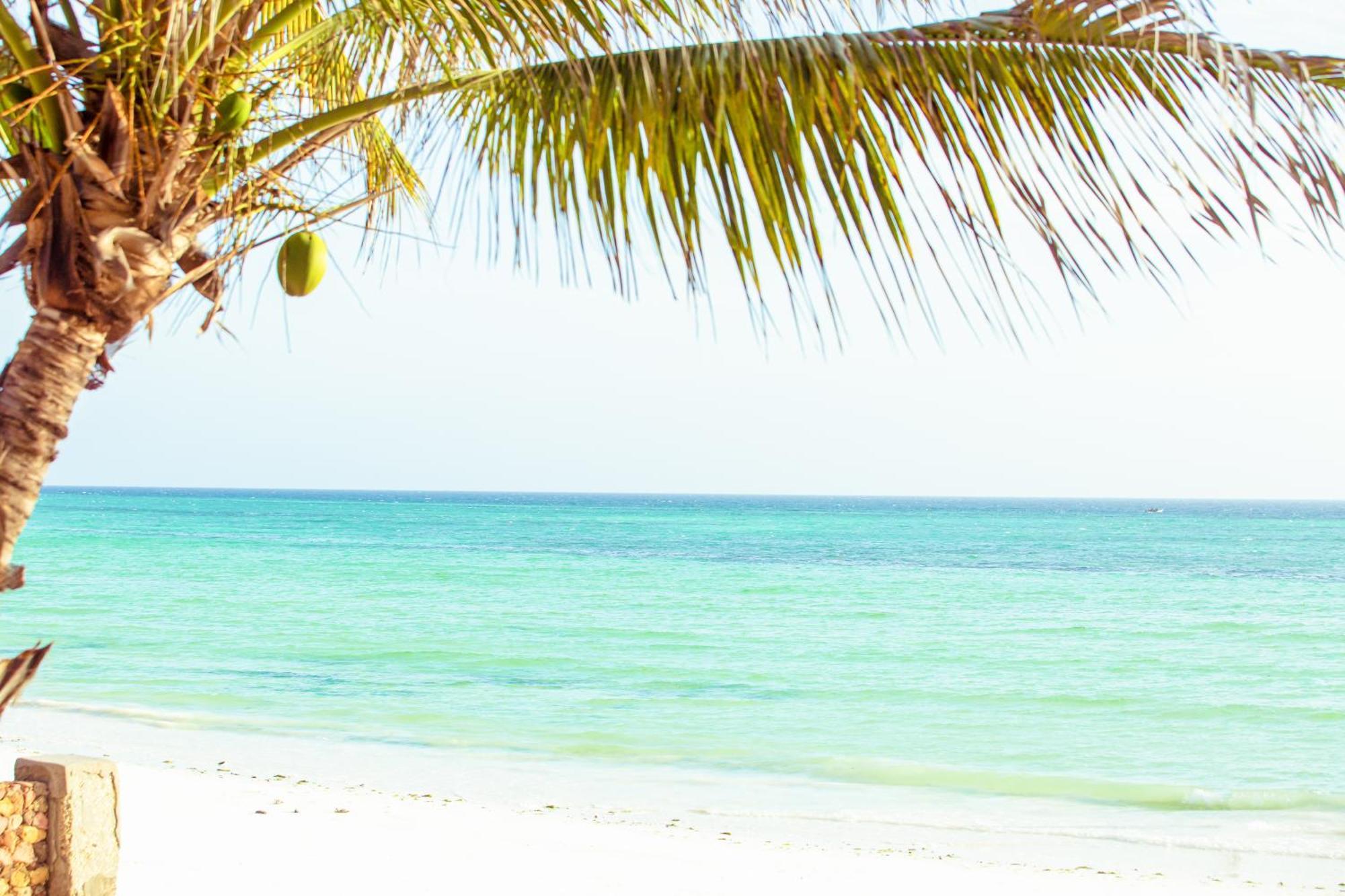 Mandarin Resort Zanzibar كيزيماكزي المظهر الخارجي الصورة